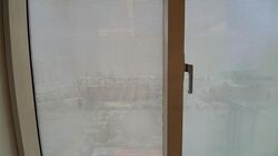 Orchard Scotts (D9), Condominium #454879791